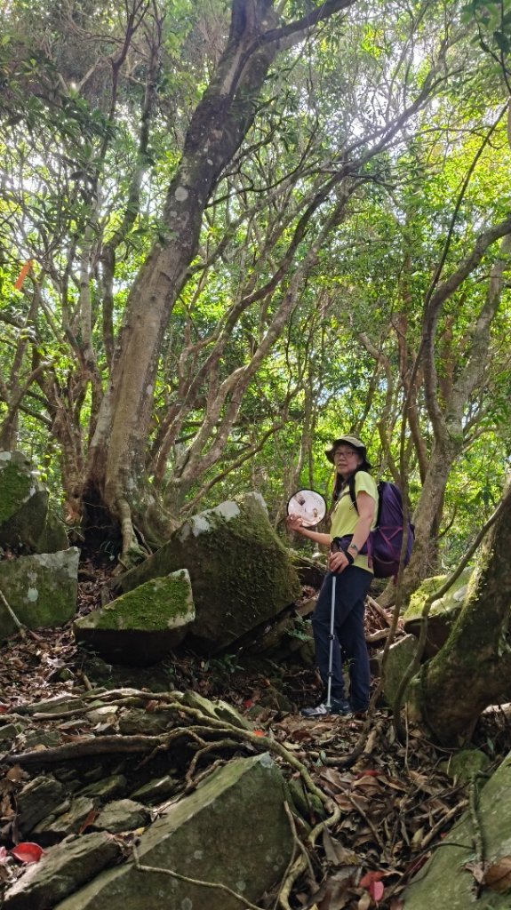 大混李棟山_2816338