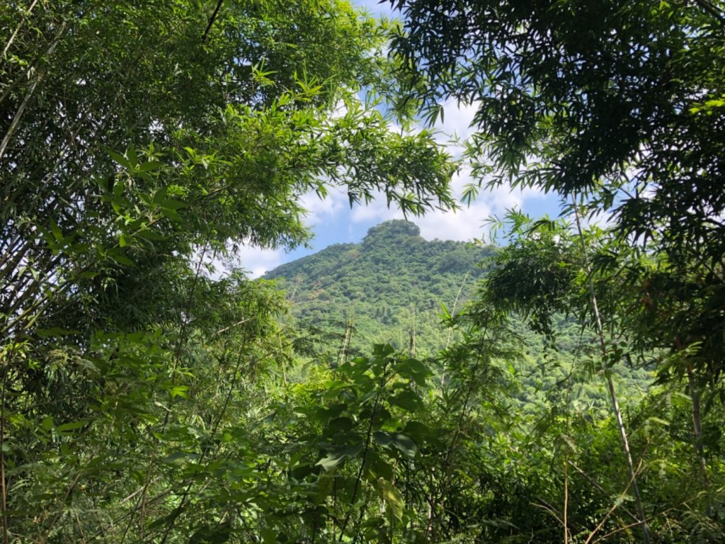 高雄市旗山區旗尾山_1233489