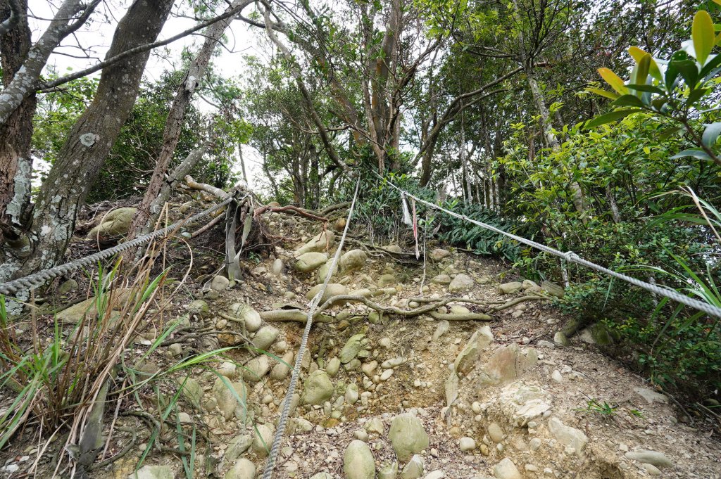 苗栗 長潭坑山、大坑尾山、三角山、雙峰山_2598405