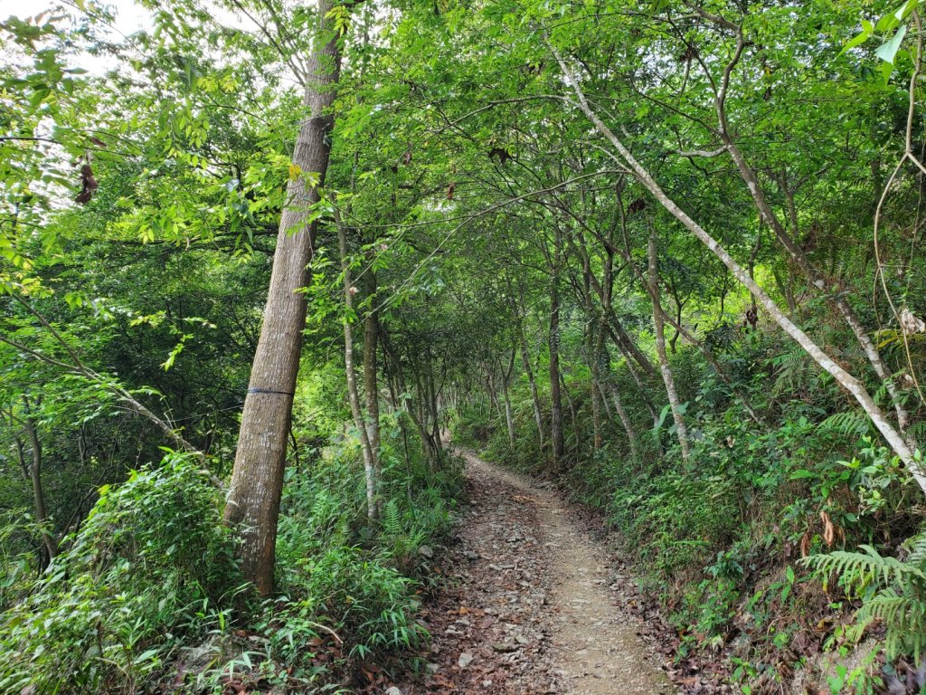 步道巡訪員│4月份尾寮山巡訪封面圖