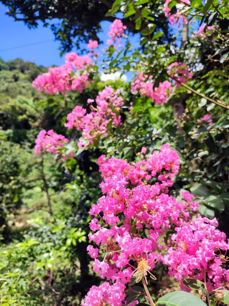 十八挖水圳，大屯瀑布，陽峰古道封面圖