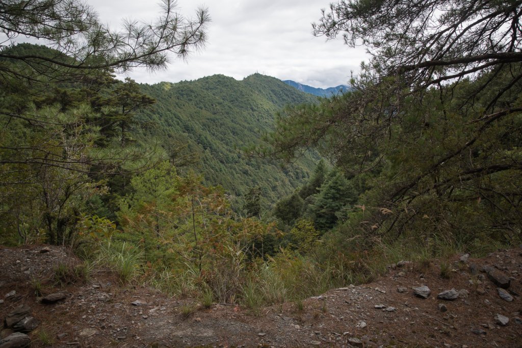 大雪山200林道 - 北三錐山_1493301