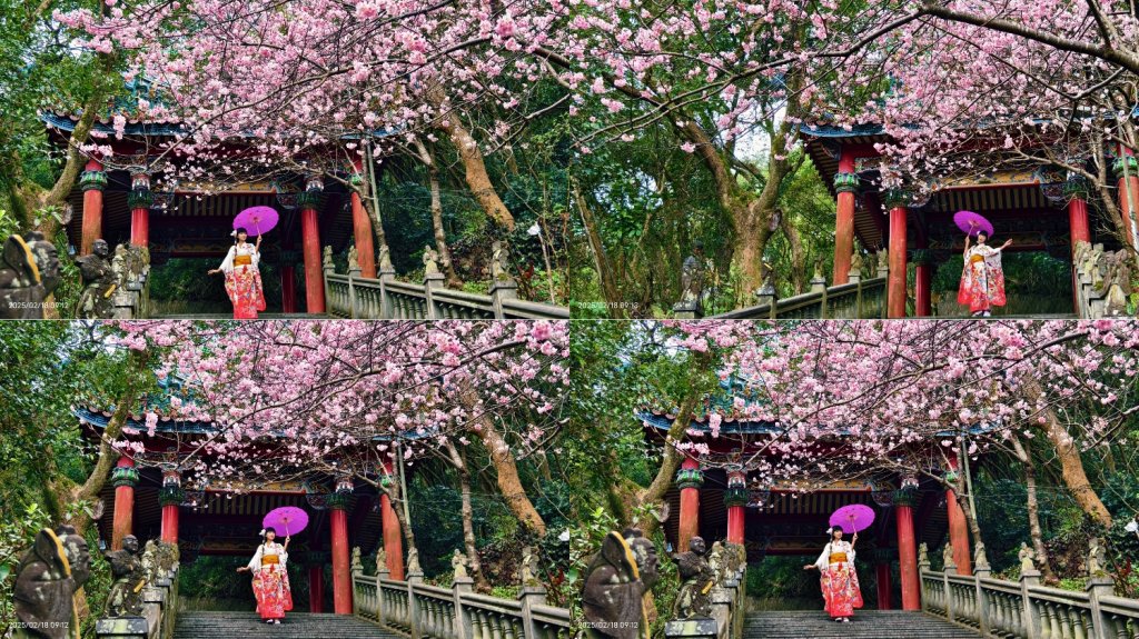 內湖碧山巖 2/18封面圖