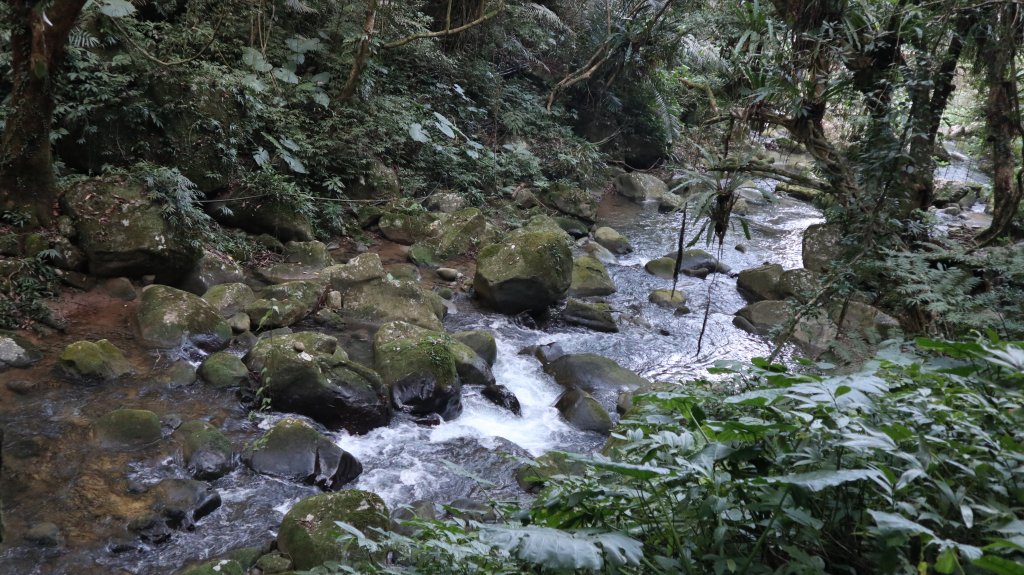 馬胎古道連走南坪古道登山健行趣(古道)_1974412