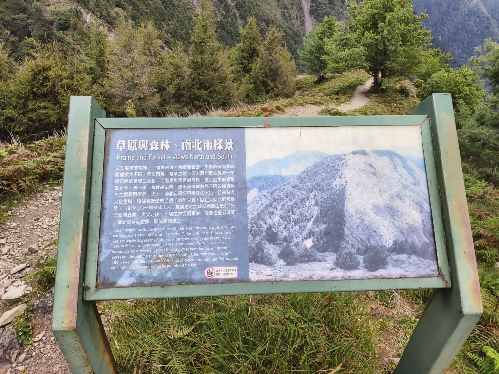 [玉山尋寶任務-09/12] 2025_0928 麟趾山步道_2900019