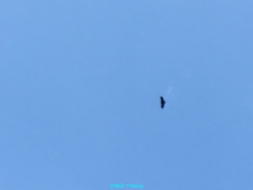 馬武督山 蓮包山 外鳥嘴山 那是山_289071