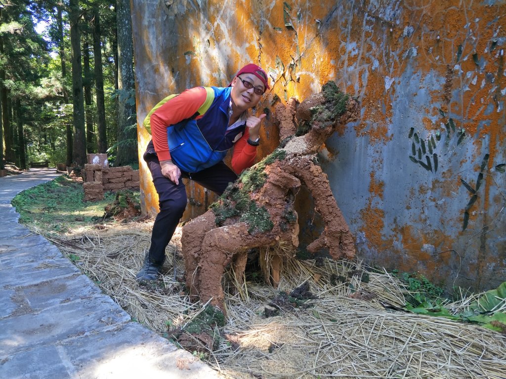 2020 10 28 東眼山自導式步道_1146714