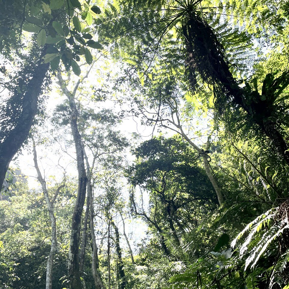 小粗坑古道_1662594