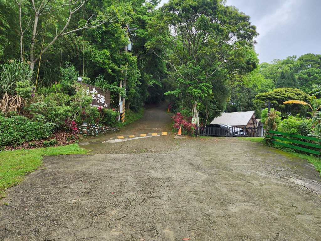 20250427大山背山田寮山毬子山騎龍山_2933661