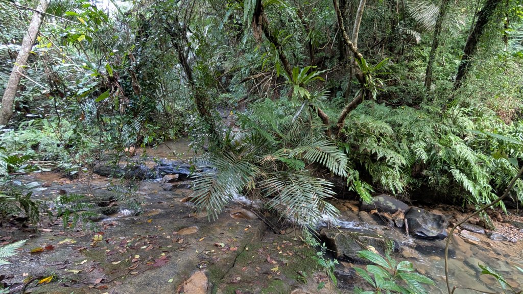 114.11.15平溪小黃山段-望古瀑布段之旅_2937829