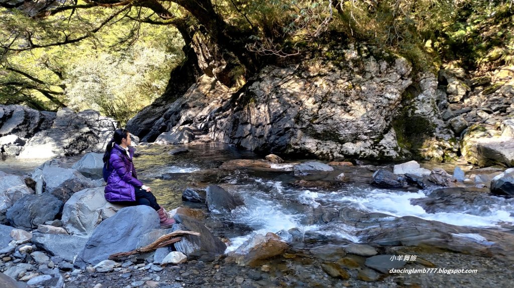 【南投】合歡溪步道：遠得要命的櫻花鉤吻鮭封面圖