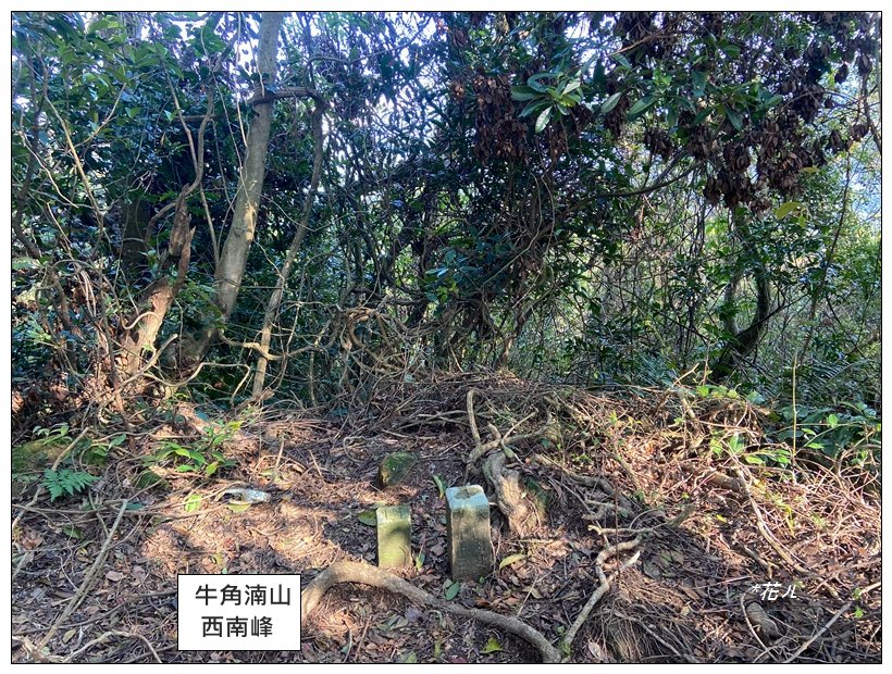 頭寮山、內湳溝山、牛角湳西南峰O型連走_2738977