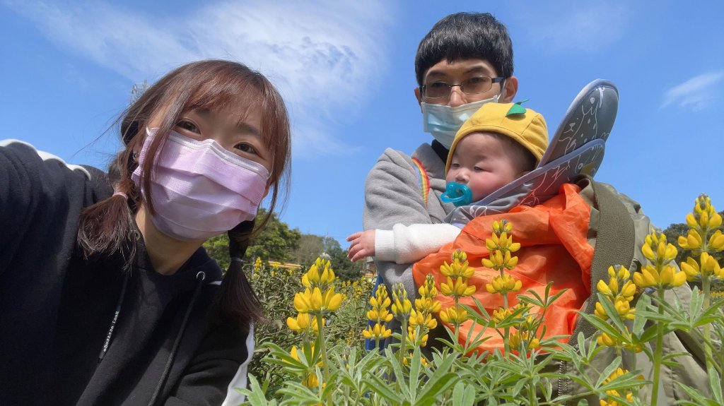 【桃園】魯冰花春色滿茶山_1621937