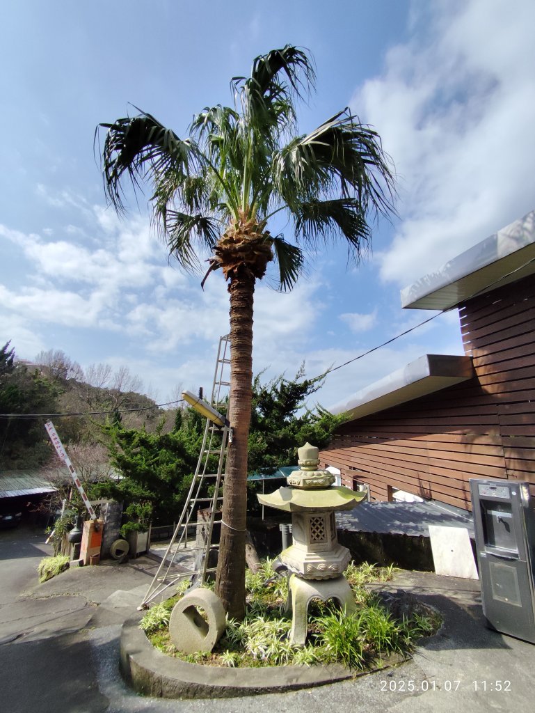 天母→猴洞→半嶺→翠峰步道→翠峰瀑布→天母古道→陽明天主堂_2685270
