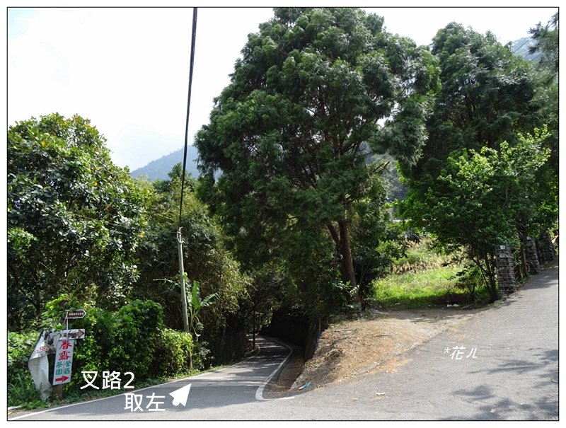 唐麻丹山/裡冷步道_868344