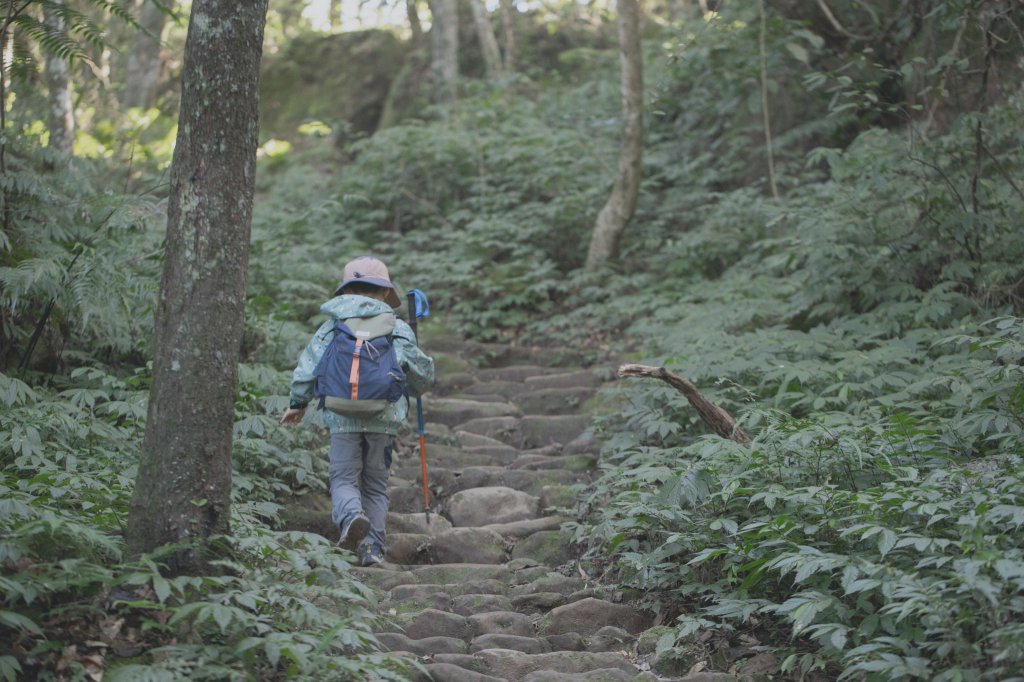 悠遊五指間-新竹五指山五連峰_2039350