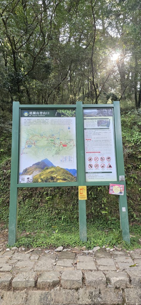 20240420 塔關山_2514622