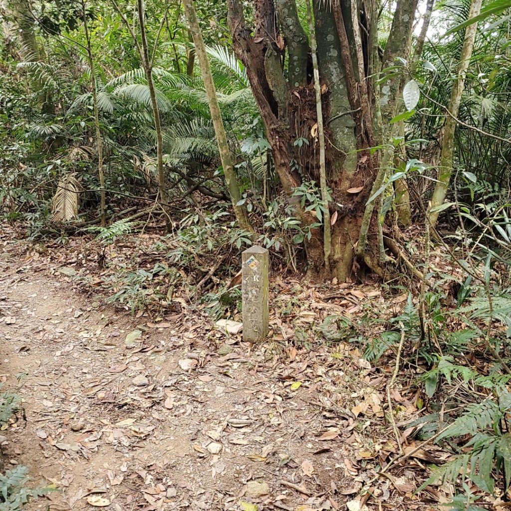 步道巡訪員│初春的尾寮山（沒有春雨）是燥熱_871844