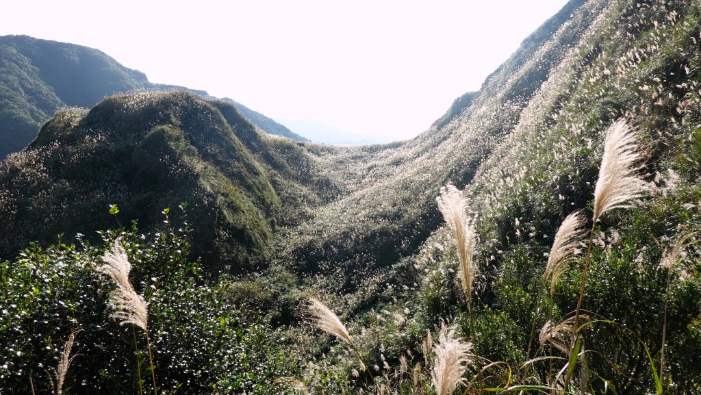 秋季品味古道與芒海的山行在猴硐牡丹山與金瓜石山_2951011
