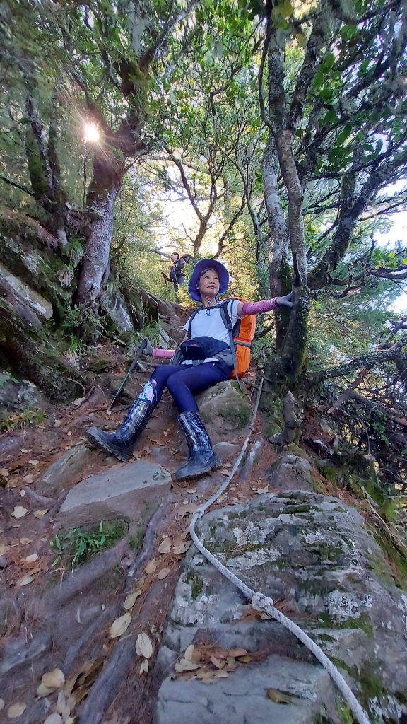 111/07/23畢羊縱走DAY 1(大禹嶺-820林道-畢祿山-鋸東山屋)_1777448