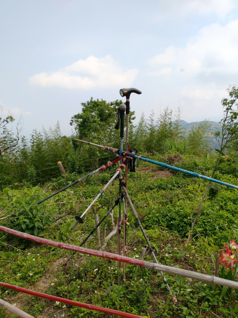 出關古道：聖關段(關刀山步道)_2144927