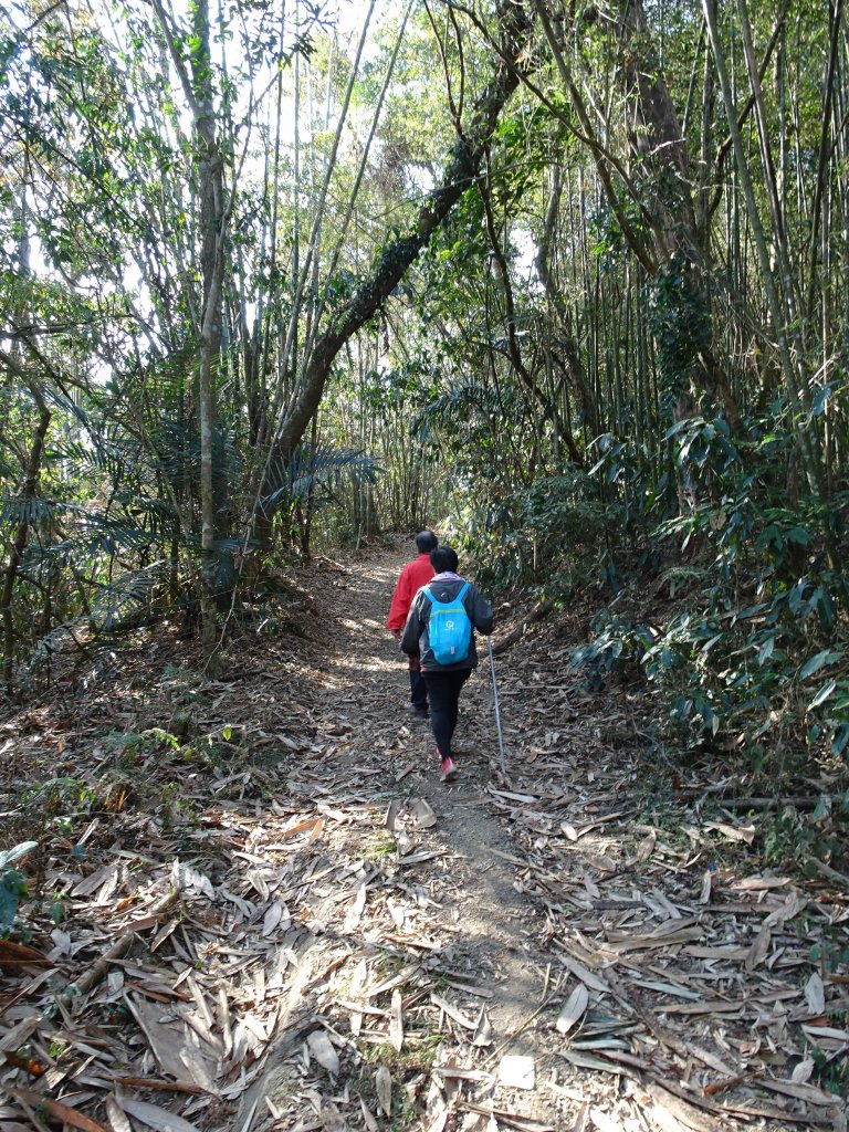 高雄甲仙小百岳第66座-西阿里關山封面圖