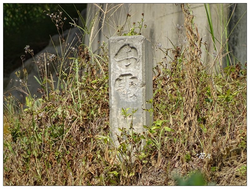 豐原/ 公老坪旱溪源頭步道_689999