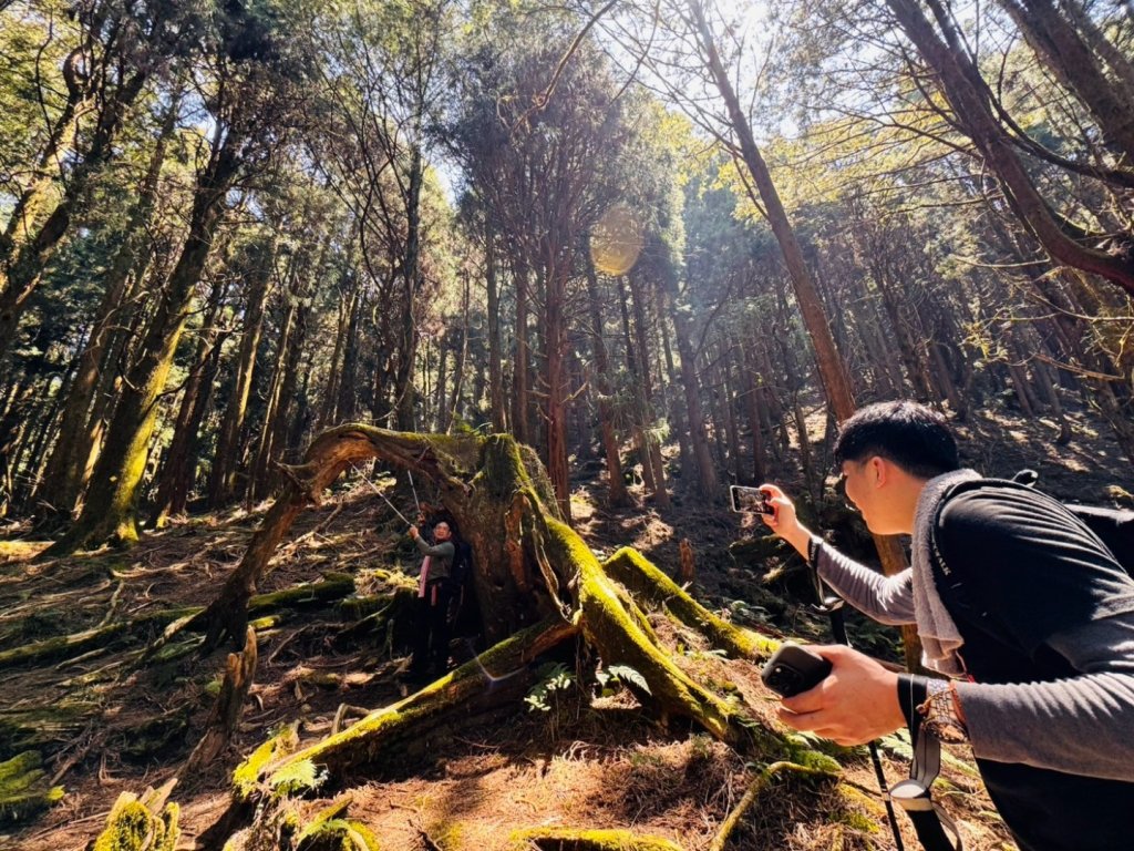 特富野古道>東水西峰>東水山>玉兒山>特富野古道（逆O)_2743765
