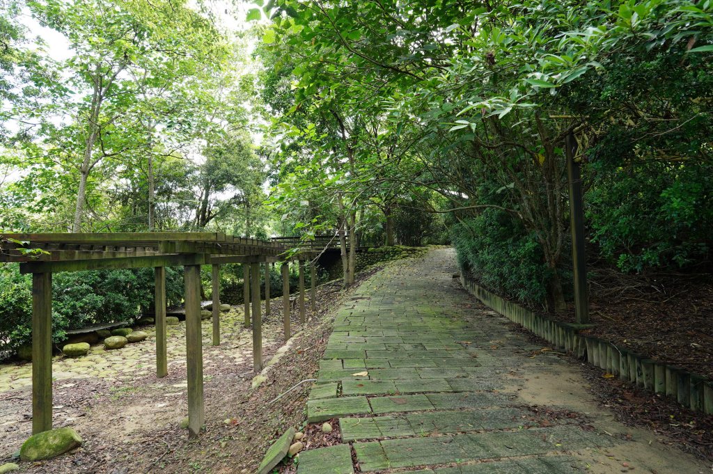苗栗 長潭坑山、大坑尾山、三角山、雙峰山_2598384