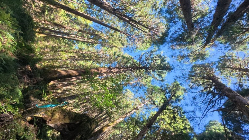 太平之旅 三星山/翠峰湖/見晴封面圖