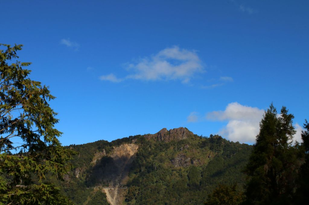 水山線巨木步道_202875