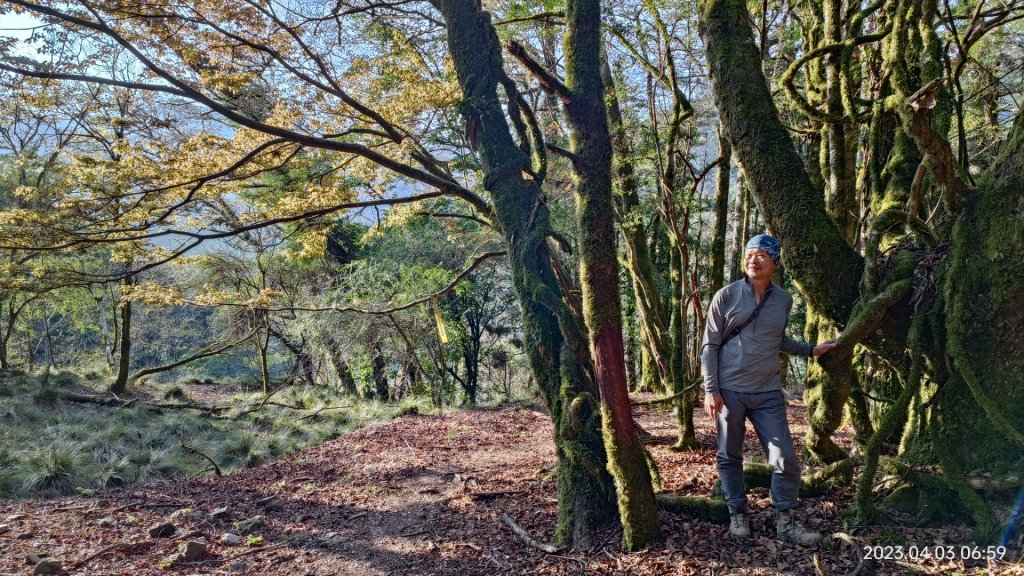 北二後段甘薯無明_2116422