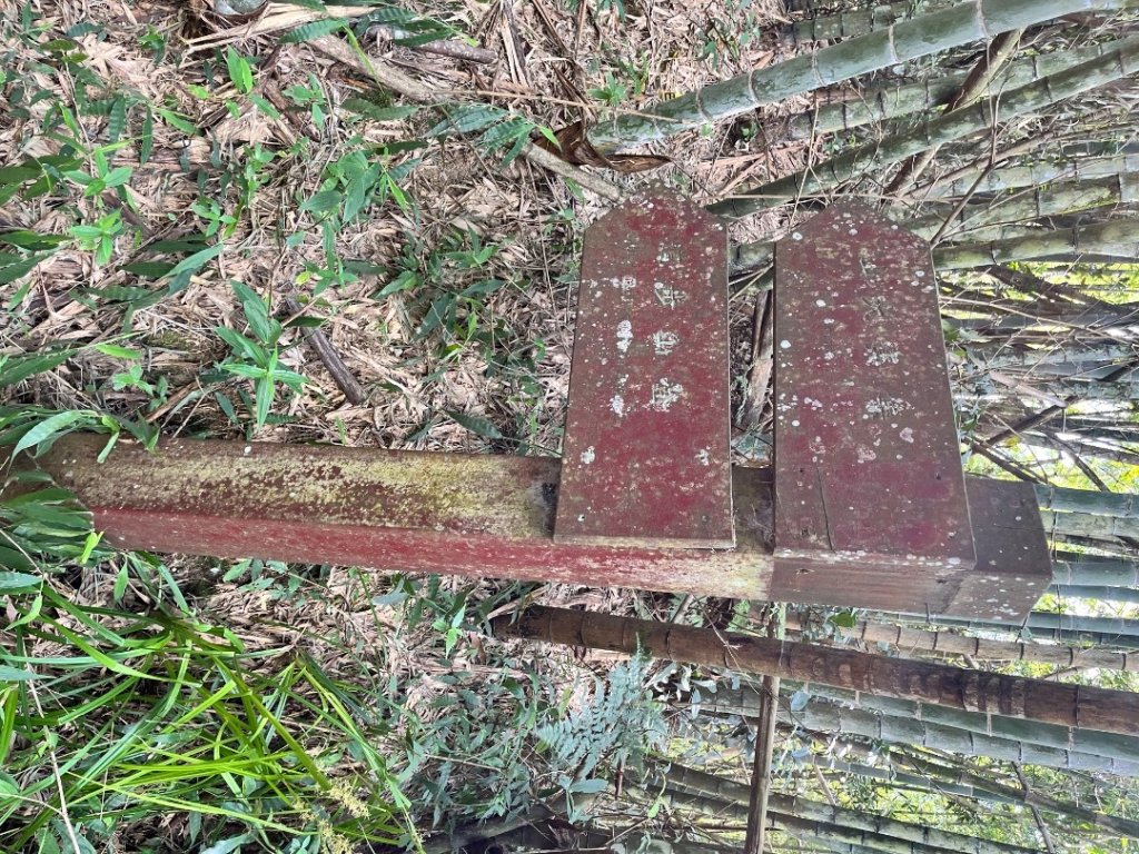 20250822_集集大山（南投小百岳）封面圖