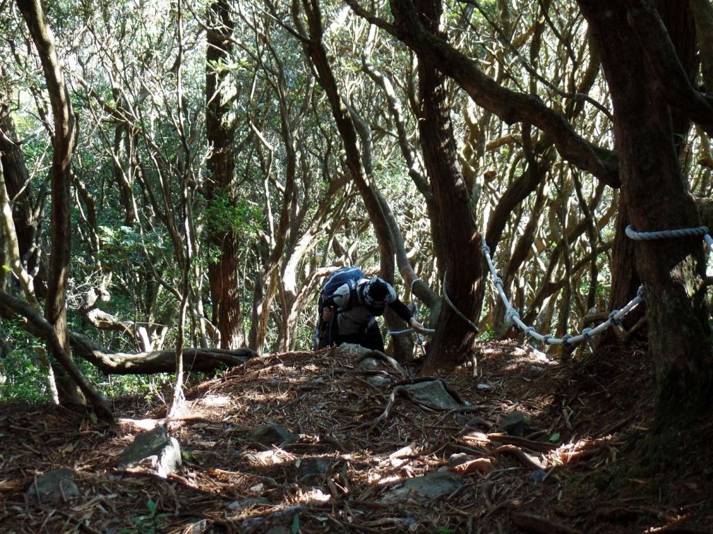 2018/1/14 橫嶺山_305284