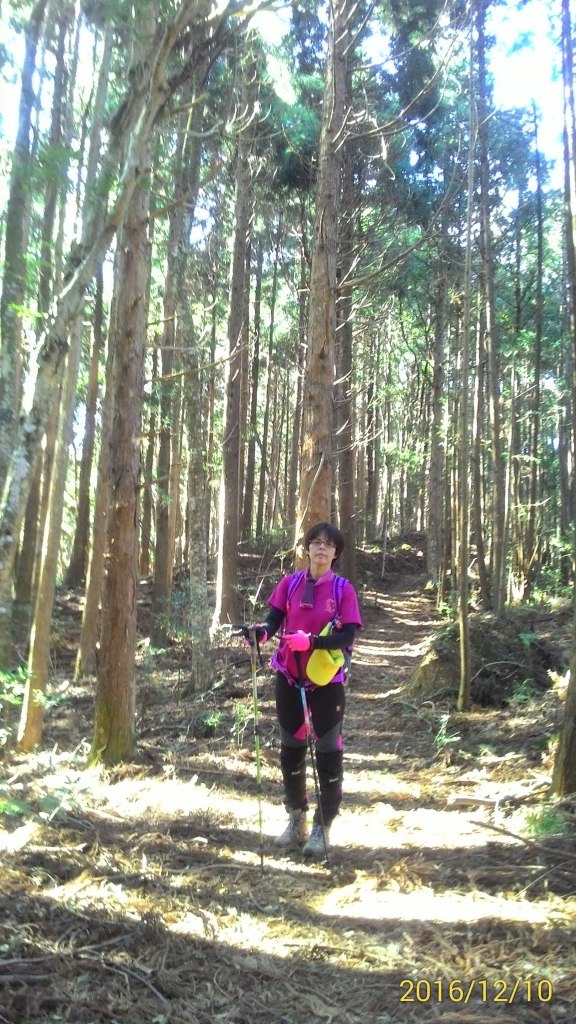 20161210新竹高台山,小中大島田山_79274