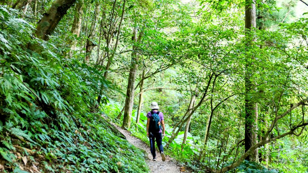 雲森瀑布_2872198