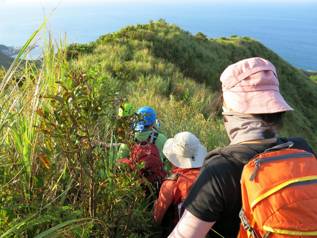 黃金十稜之劍龍鋸齒茶壺俯瞰四稜連走_51966