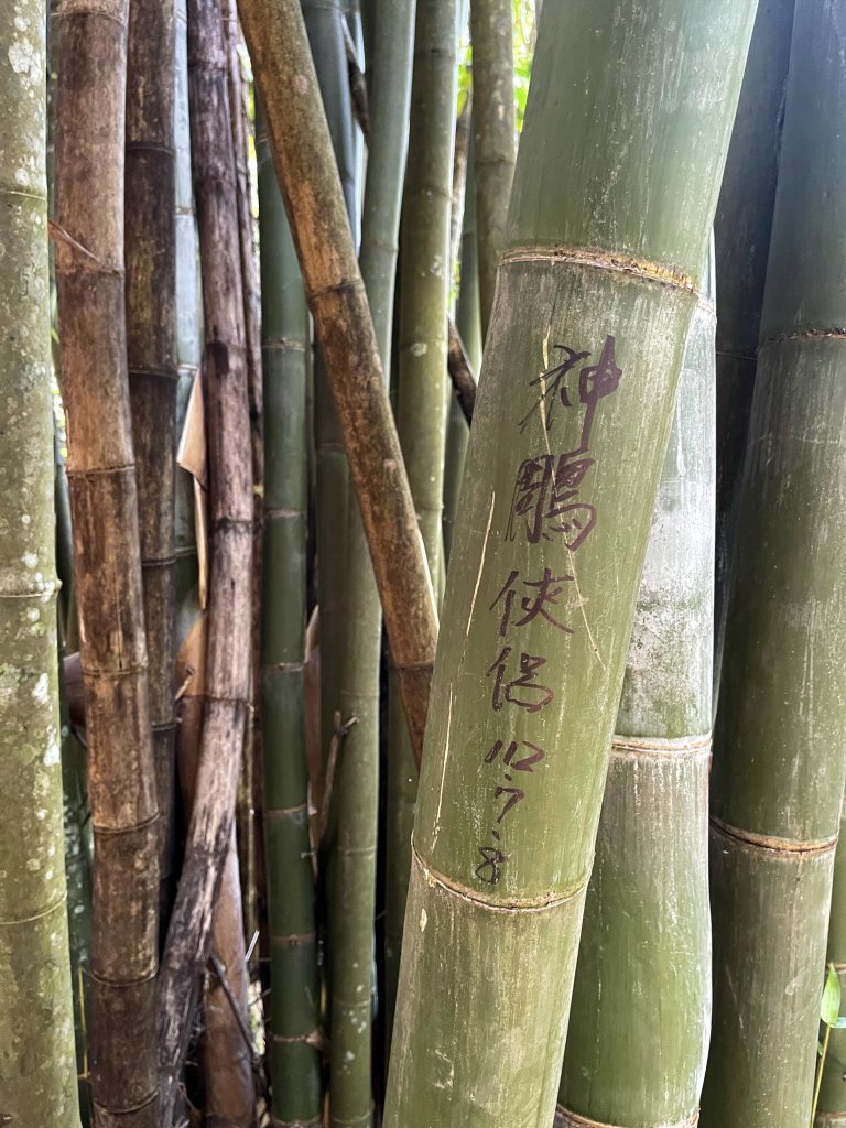 八通關古道社寮段 加碼陳東坑山未竟2023.11.11_2343683