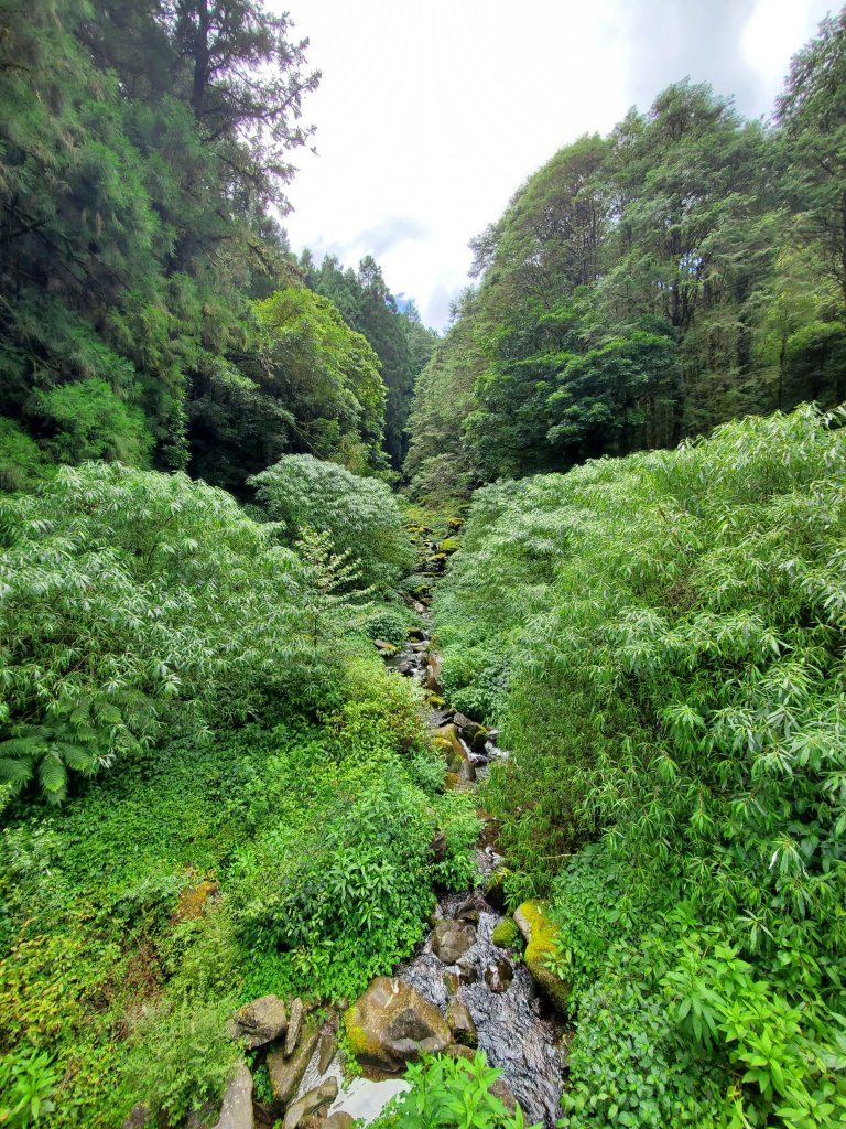 【嘉義 | 特富野】_1069249