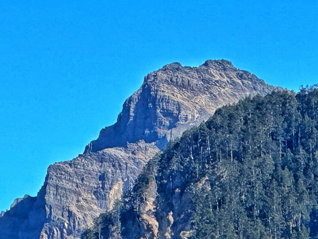 玉山前峰 漫步雲端 草坪頭賞花_2010388