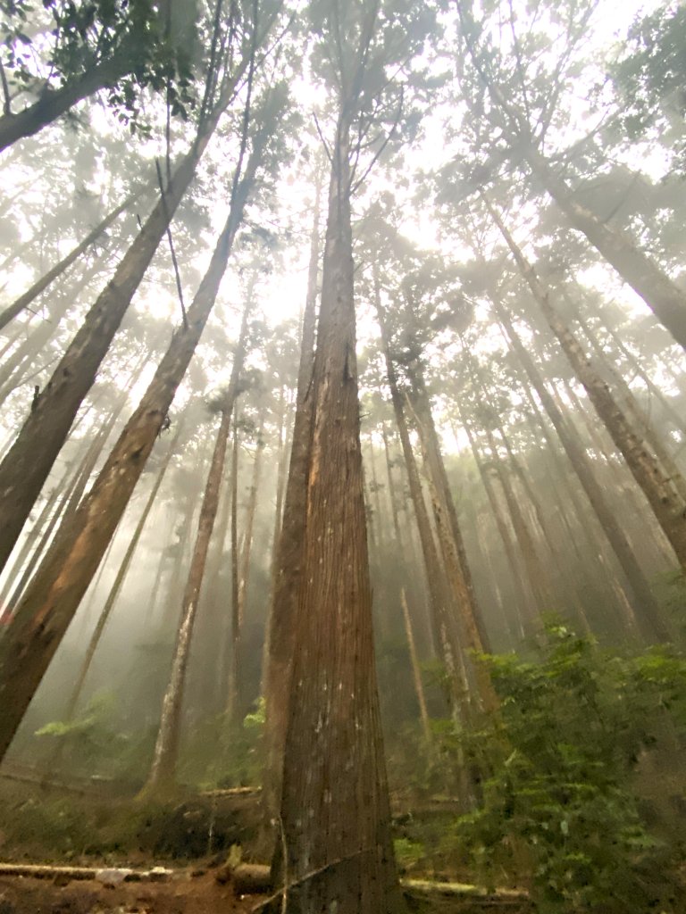 醜崠山納涼趣    2024/6/23_2534835