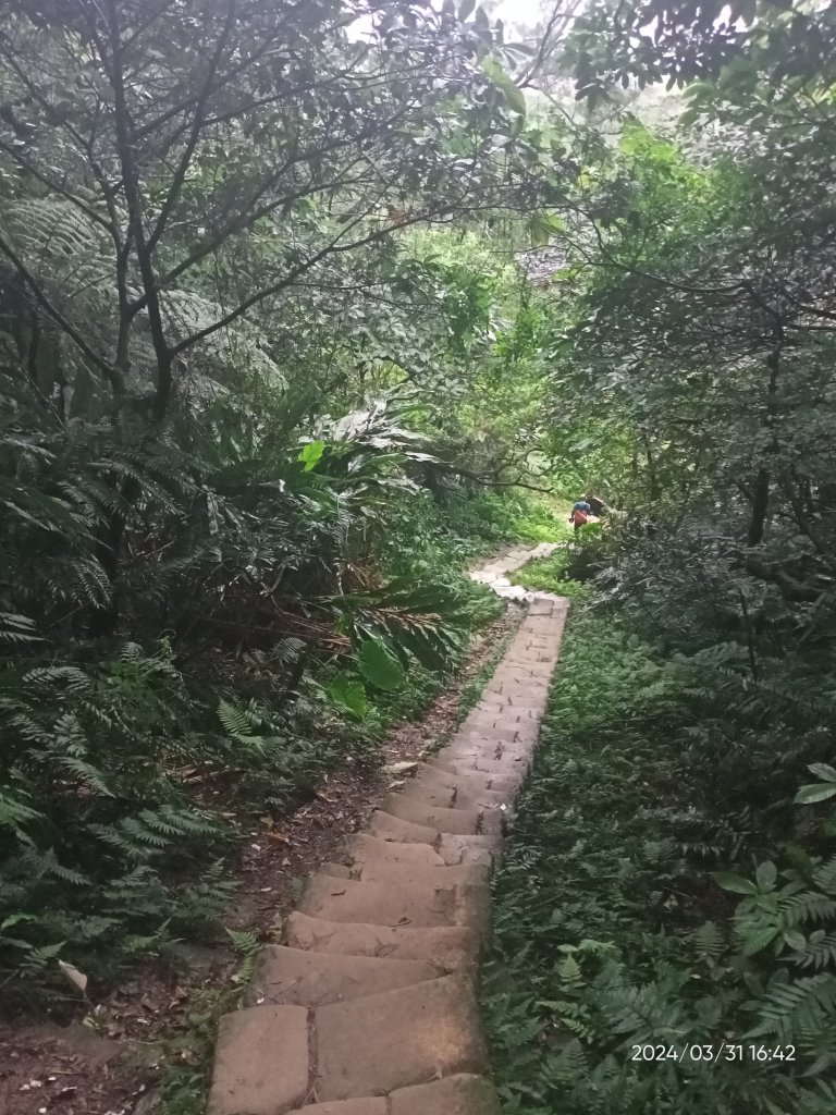 【臺北大縱走 6】中華科大→捷運麟光站、【小百岳集起來】#013 南港山 H375m_2470673