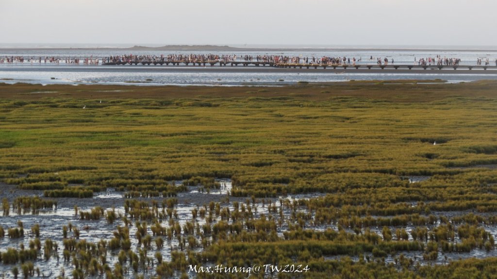 《台中》熱門棧道｜高美野生動物保護區20241005_2615492