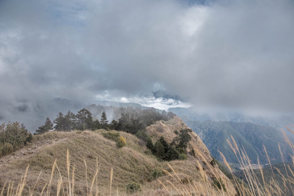 哭坡不哭-雪山東峰 & 七卡山莊之旅_1561214