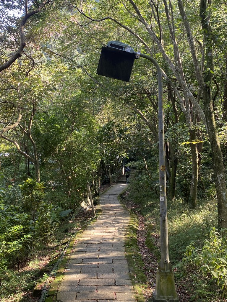 四獸山健走紀錄｜冬日九五峰健走｜福德街51巷起登 × 豹山溪步道下山_2985923