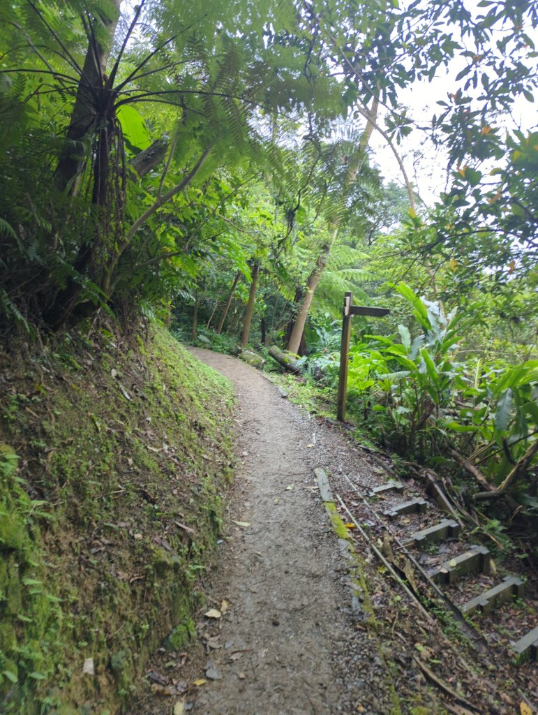 2026.03.08－微笑山線：【二格山系】銀河洞越嶺段&貓空纜車_3014649