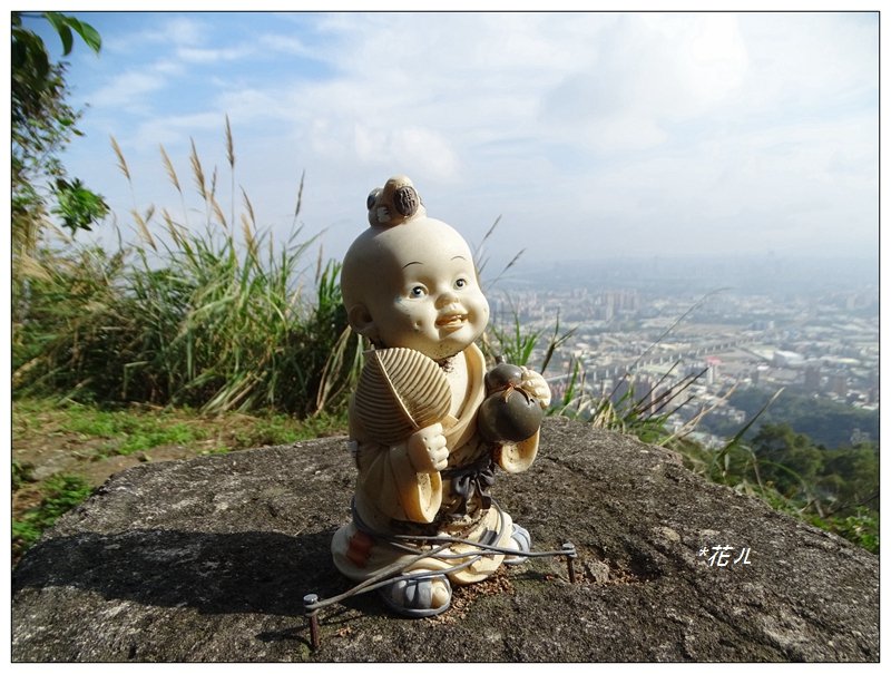 大同山步道/青龍嶺封面圖