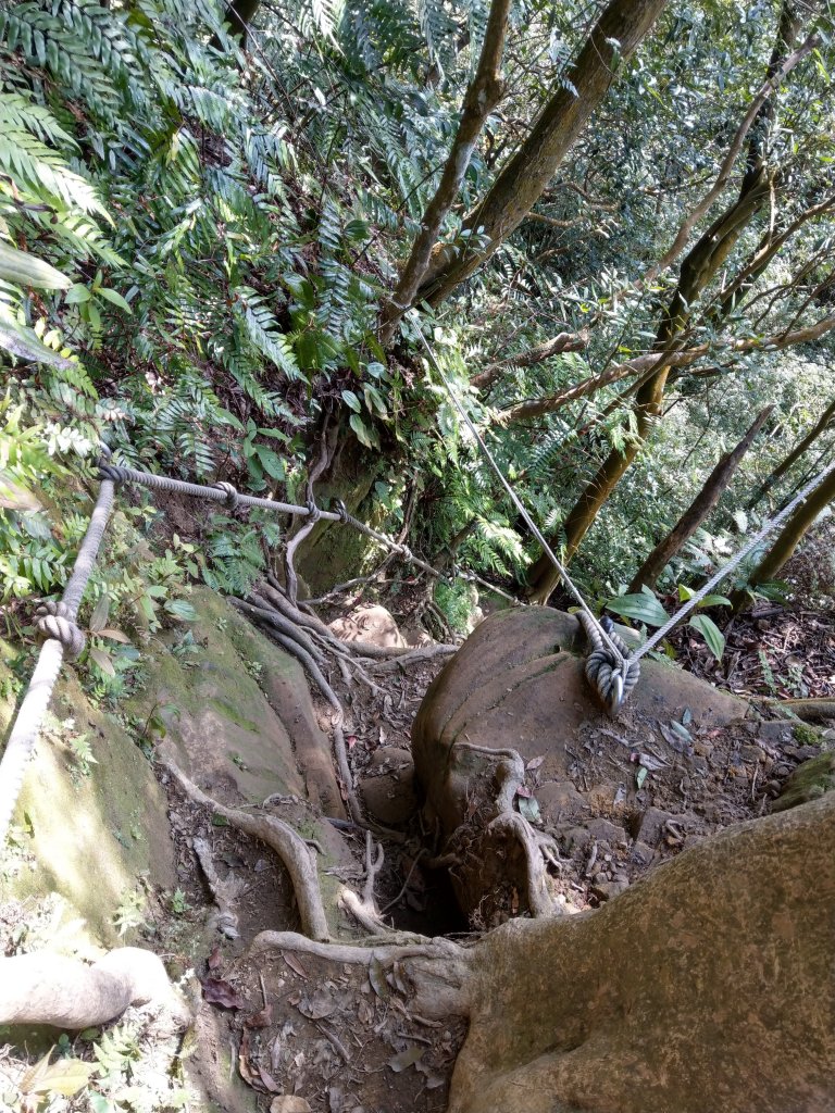 草湳登二格山(小百岳)經猴山岳下指南宮_820118