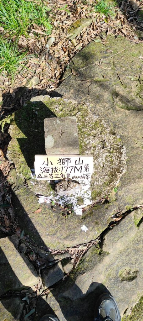 新店獅頭山(小獅山)步道封面圖