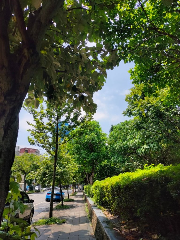 ［健康大穀東］（27~28）：天母運動公園+美崙公園（2023/8/11）_2253698